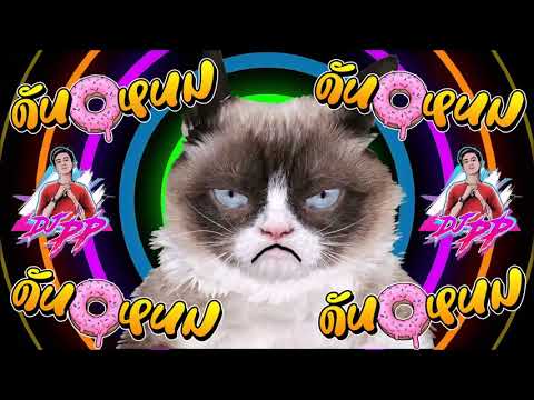 "ดันหนม หนมขึ้น" ปากไม่เบี้ยว อย่าเปรี้ยวกดฟัง! ◀ | By DJ PP THAILAND REMIX