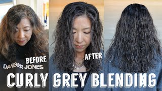 Hair Transformations with Lauryn: Signature Grey Blending on Curly Hair Ep. 184