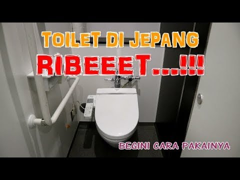 Video: Toilet Artistik Jepang Adalah Bintang Dari Akun Instagram Ini