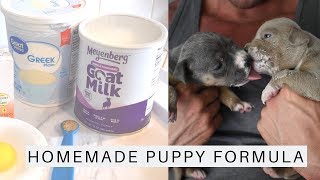 Giving our 3 week old puppies homemade formula