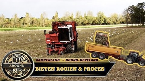 BIETEN ROOIEN + PROCES, KAMPERLAND | Informatieve video