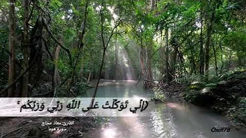 قراءة عطرة للآية السادسة والخمسون من سورة هود بصوت القارئ: معاذ عجاج.🌿