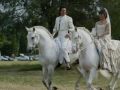 Gallop to Freedom Magali Delgado and Frederic Pignon