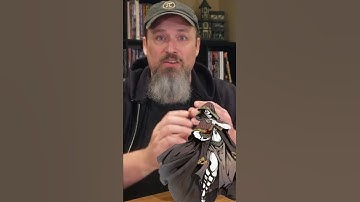 Create the Coolest D&D Adventures