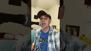 Afternoon Delight Harmonies (Loop Station)