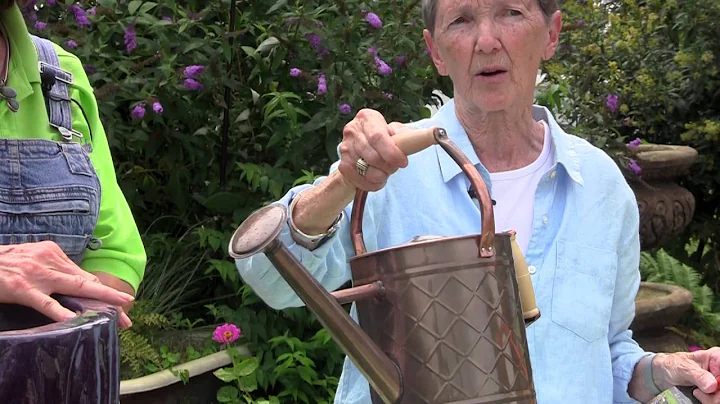 How to Protect Herbs All Summer