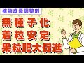 「住友ジベレリン粉末・錠剤」と「フルメット液剤」の使用方法【植物成長調整剤】