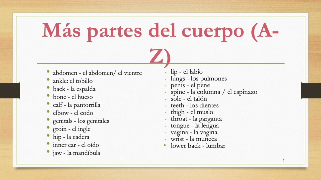 Appendix File 1: Más partes del cuerpo A Z