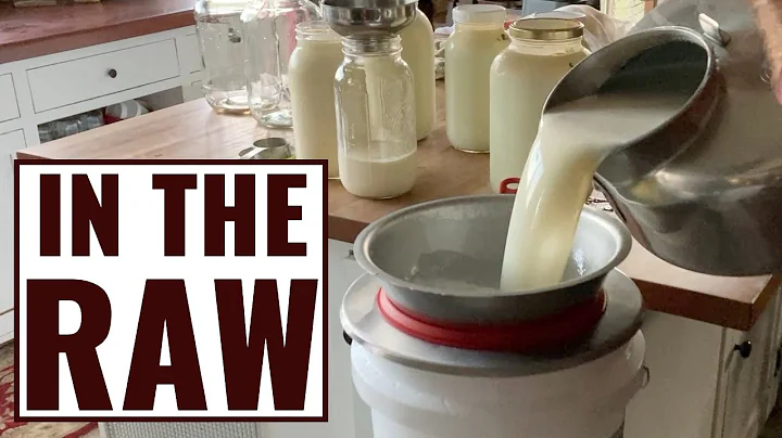 Processing Milk from 2 Cows