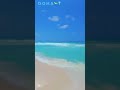 اغنيه ـ الكل ـ فجاه ـ نسيني ـ دوهاا