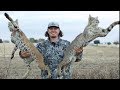 Texas BOBCAT Catch Clean Cook!! (HUNTING WITH AIR RIFLE)