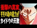 【1025話】モモの助の能力はウオウオの実より強力！？龍の能力を徹底比較！【ワンピース考察】