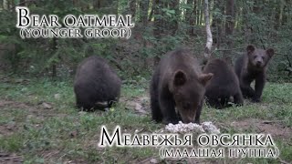 :   ( )/Bear oatmeal (younger group)