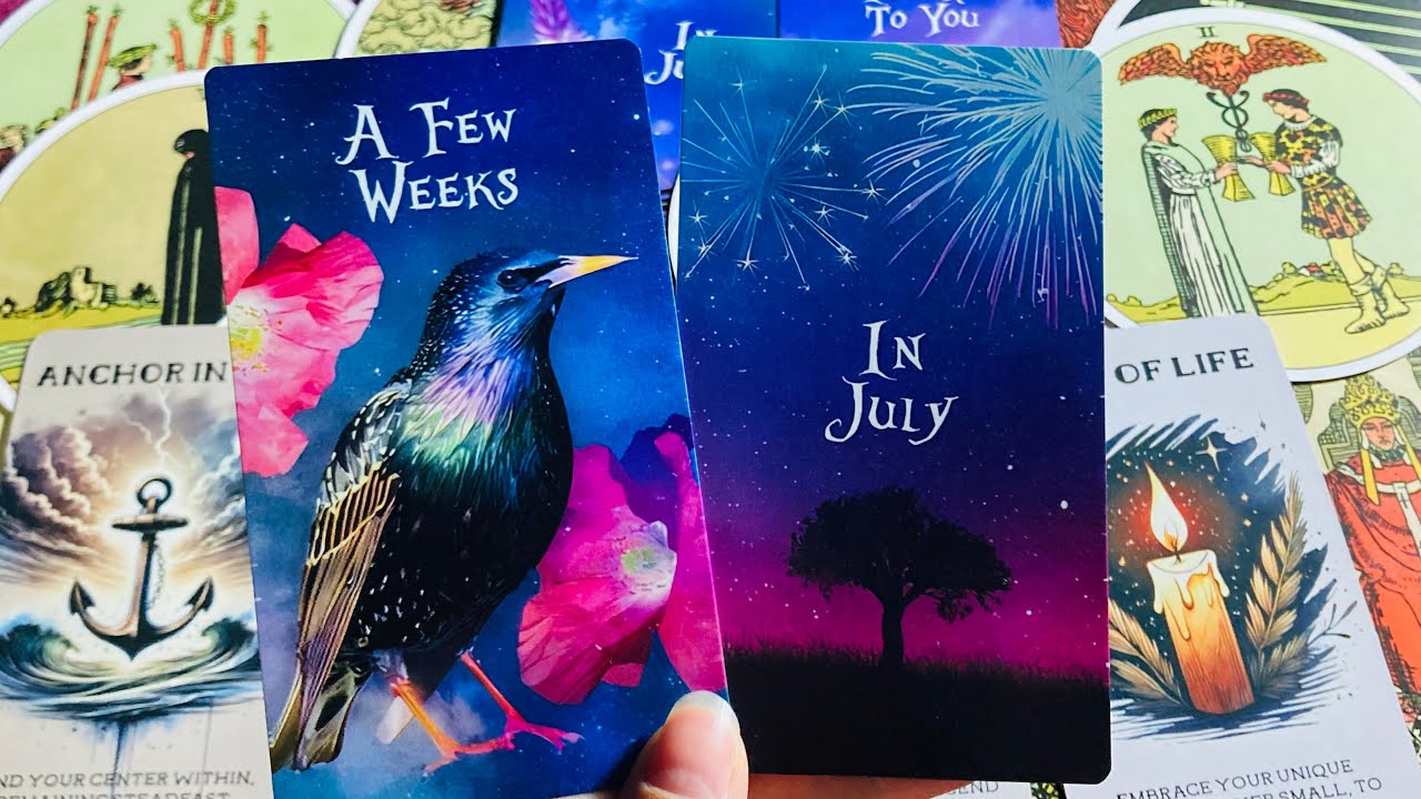 NO CONTACT 🚫📞 THEIR FEELINGS AND THOUGHTS 🩷💙💜 TIMELESS TAROT 🩷💜 HINDI-URDU 🩷💙
