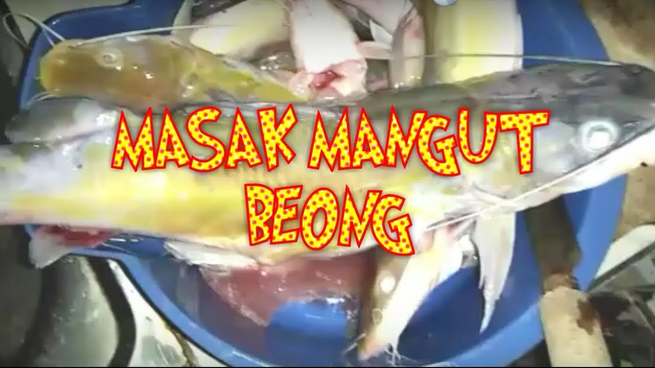 CARA MEMASAK MANGUT BEONG||MASAK SEDERHANA MANGUT BEONG 🐋||  IKAN BEONG