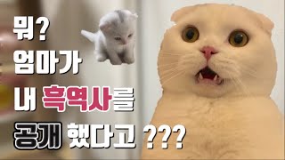 (ENG SUB) Here's a video of Muji's baby ! ! ! !