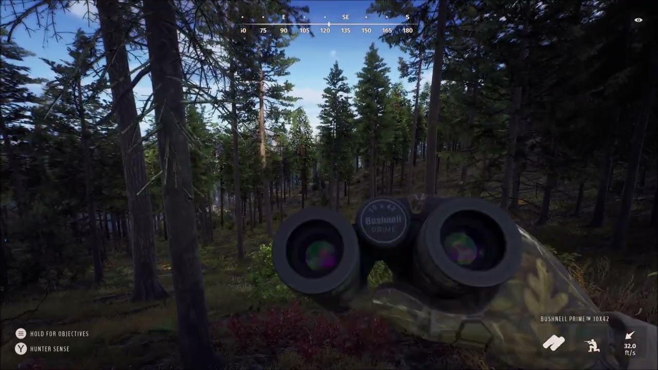 Way of the Hunter - American Black Bear - Xbox Series X