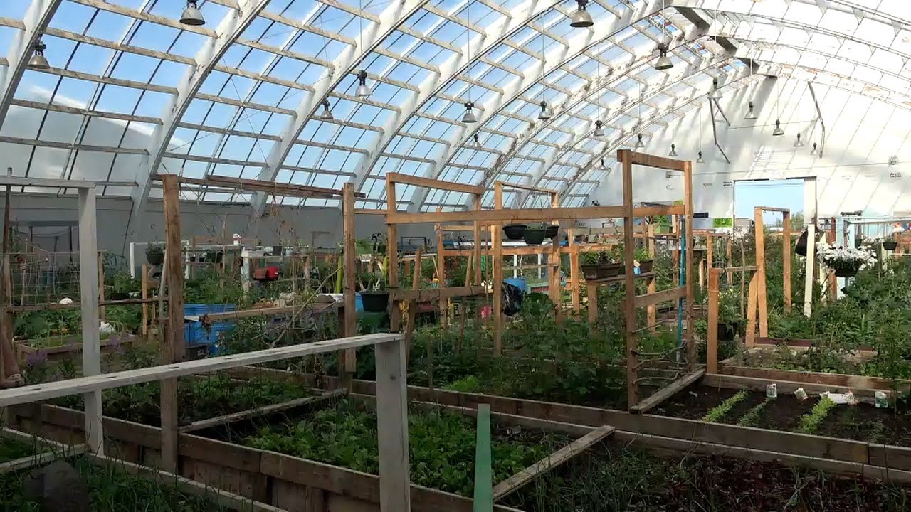 Greenhouses increase access to fresh produce in the North