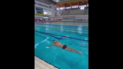 Video Swim Sculling and Freestyle sprint