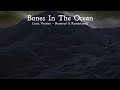 Miniature de la vidéo de la chanson Bones In The Ocean (2013 Remixed)