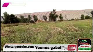 سنڌ ڪوھستان جي سونهن