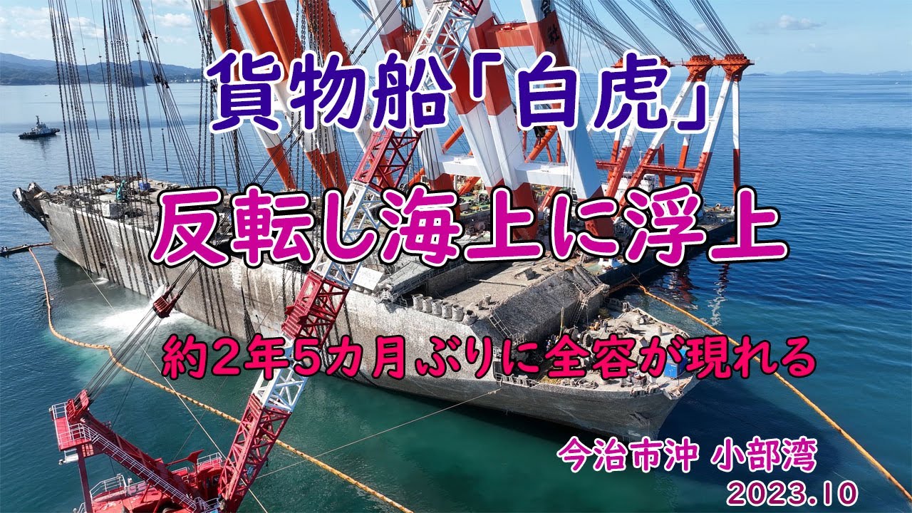 ようやく全貌を現す貨物船「白虎」沈没から約2年5ヶ月ぶりの姿