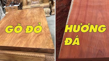Bất ngờ khi so sánh gỗ hương đá và gỗ đỏ | gỗ hương | Sơn Sập Gỗ