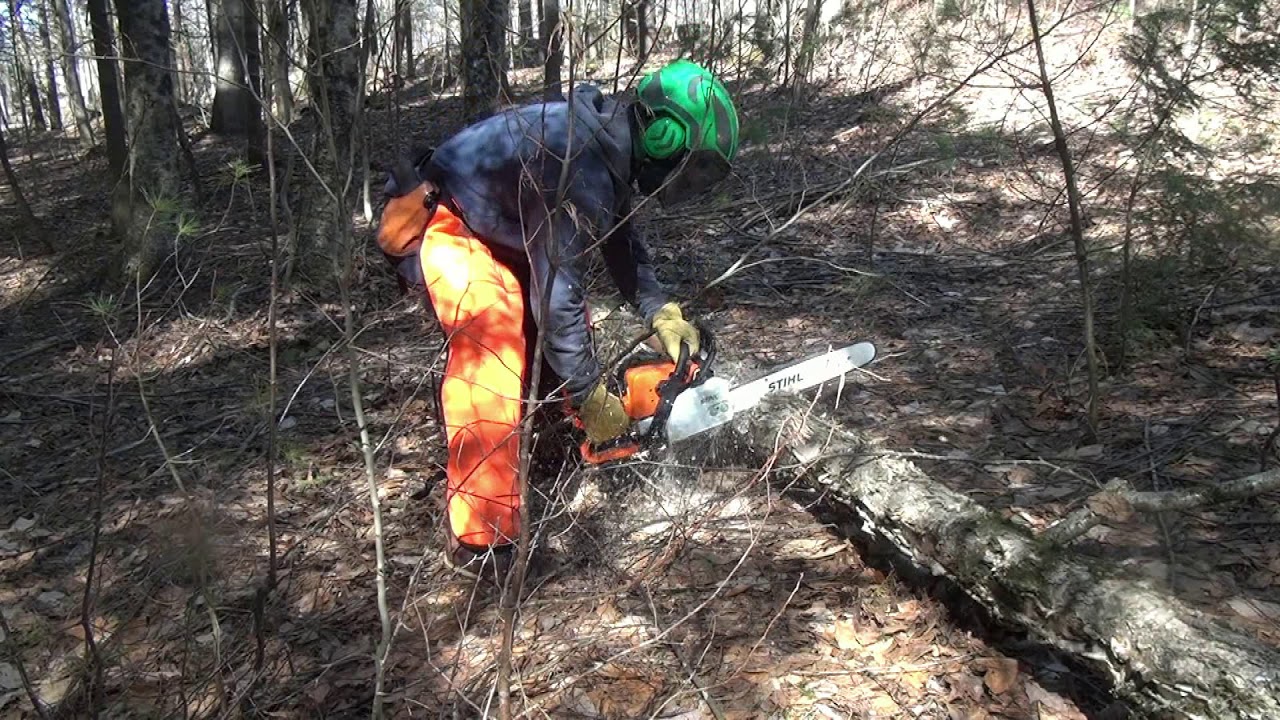 Stihl MS250 Chainsaw Test : Tac - YouTube