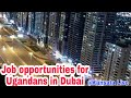 12 Jobs Ugandans can easily get in Dubai.