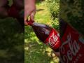 Survival bushcraft skills💦  #cocacola #forest #bushcraft #outdoors #survival #experiment #lifehacks