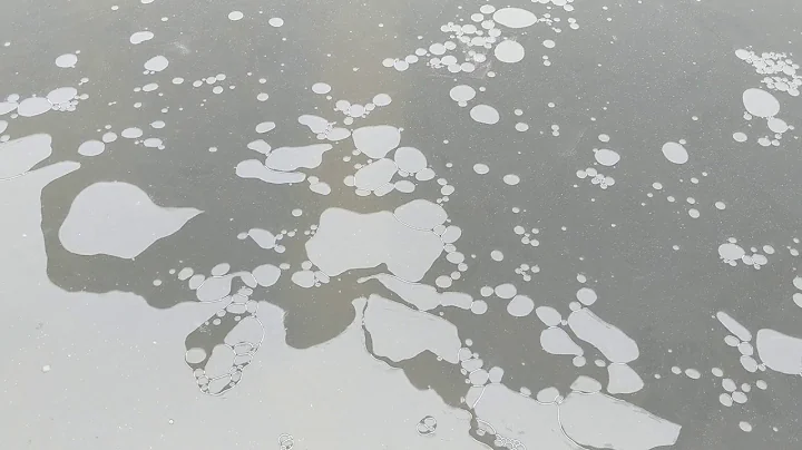 Winter Fish Kill Prevention Minnesota