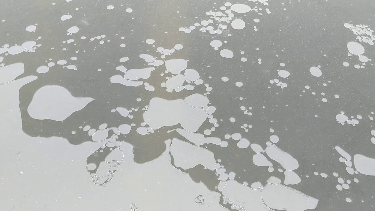 Winter Fish Kill Prevention Minnesota