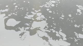 Winter Fish Kill Prevention Minnesota