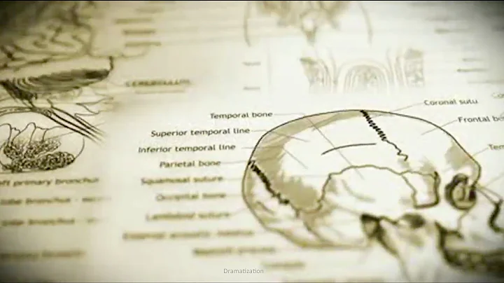 What is a Skull Fracture?
