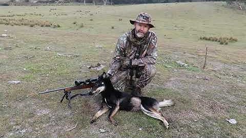 Hope you like the new video intro.....