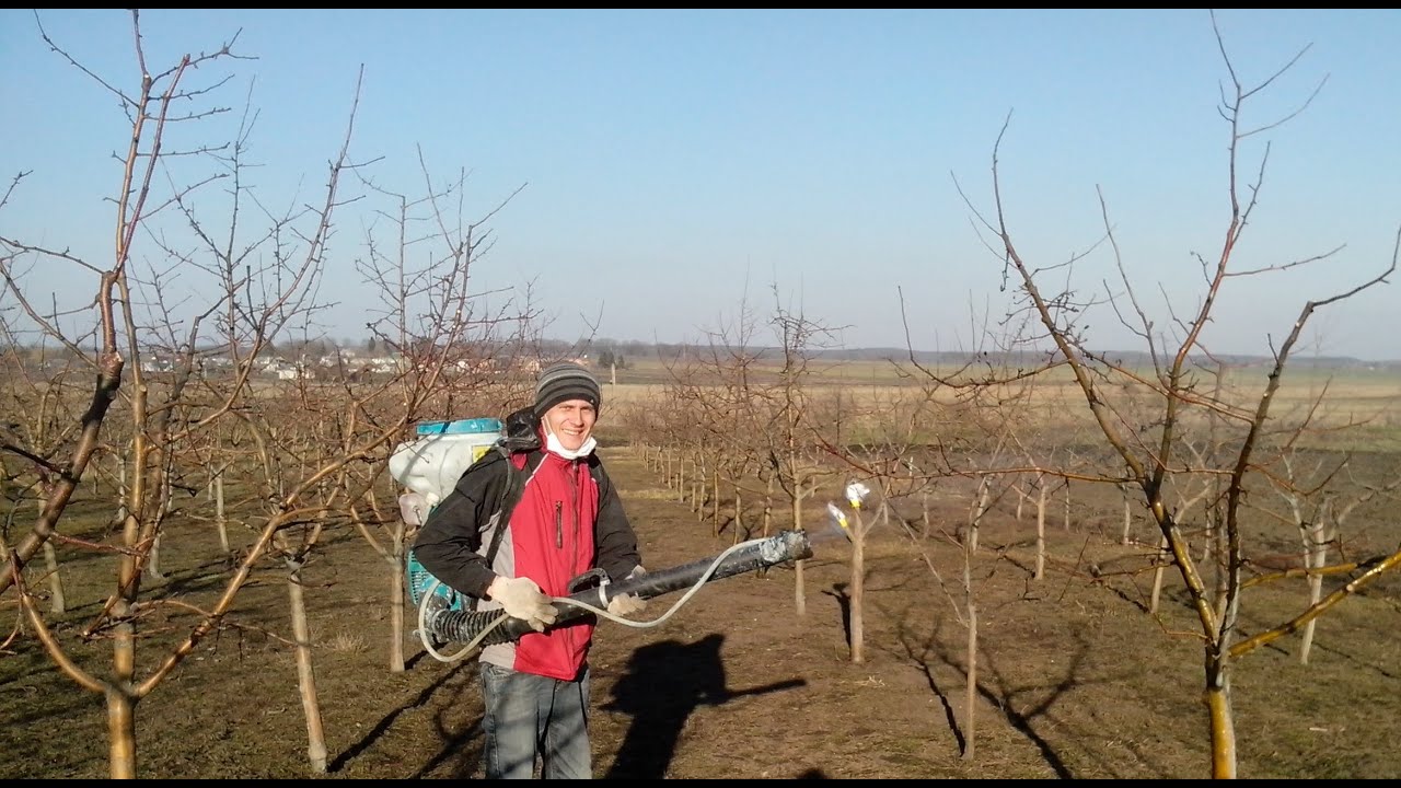 Обприскування карбамідом