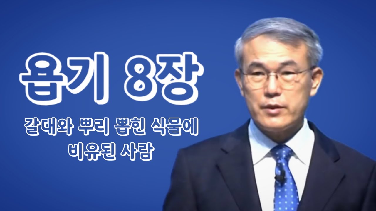 [욥기강해] 8장 | 갈대와 뿌리 뽑힌 식물에 비유된 사람 | 홍정현 목사