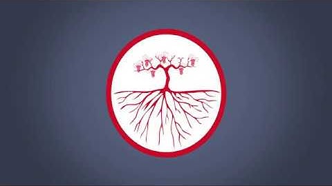 Learn about Wine - Wine Terroir Trailer