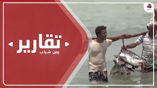 قطاع الصيد .. خسائر باهظة وآلاف الصيادين يفقدون أعمالهم