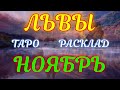 ГОРОСКОП ЛЬВЫ НА НОЯБРЬ МЕСЯЦ.2020