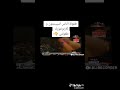 تنفس صناعي اوكسجين طبيعي Wwe اكسبلور جون سينا دويتو رومان رينز ضحك Royal Rumble Funny Rom تنفس صناعي اوكسجين طبيعي Wwe اكسبلور جون سينا دويتو رومان رينز ضحك Royal Rumble Funny Rom