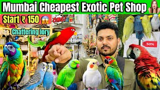 सबसे सस्ती Birds शॉप | Start-150 ₹😱| Exotic Pets Shop in Mumbai | Birds | Cheapest Pets shop Mumbai