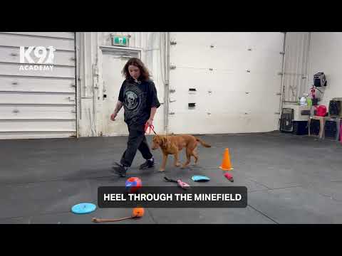 Beginner Test - Chelsea