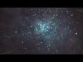 花【hana】Junky sugar session