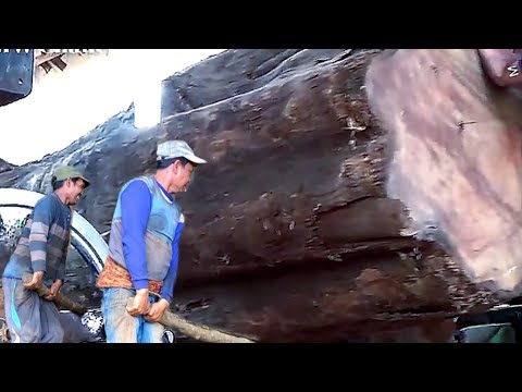 Awesome Wood Cutting Machine || Sawing the Biggest, Dangerous Teak Wood