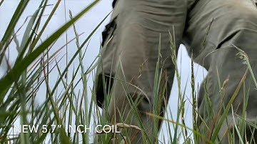 DeepTech Vista X 5.7” Coil.. Coin on edge and Ground Balancing