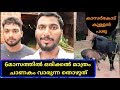 6മാസത്തിൽ ഒരിക്കൽമാത്രം ചാണകം വാരുന്ന തൊഴുത് |kasarkode kullan cow|agri tech farming malayalam