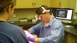 Lockerby Animal Hospital Tour