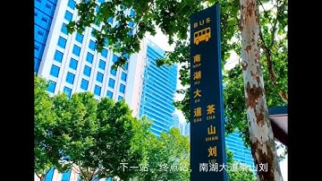 房东的猫《下一站茶山刘》现场版