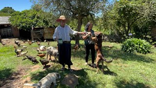 UMA VIDA INTEIRA NO SÍTIO FAZENDO DE TUDO - ANTONIO E DORINHA